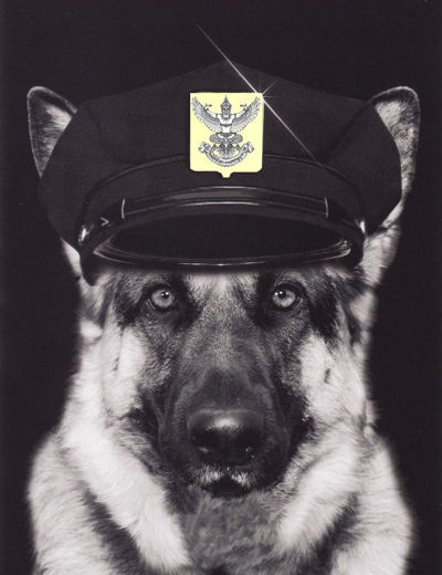 image_chien_policier